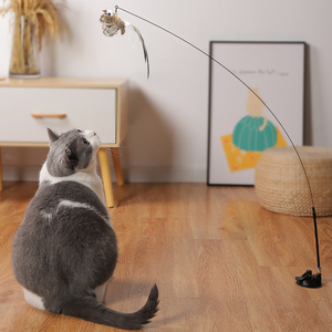 Interactive Cat Toy With Feather Bird And Bell