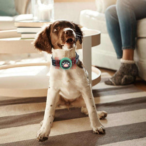 Rechargeable Waterproof Ultrasonic Dog Barking Deterrent Collar With Remote Control