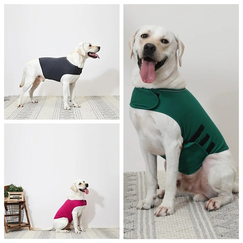 Dog Anxiety Vest Calming Shirt for Small to Large Pets