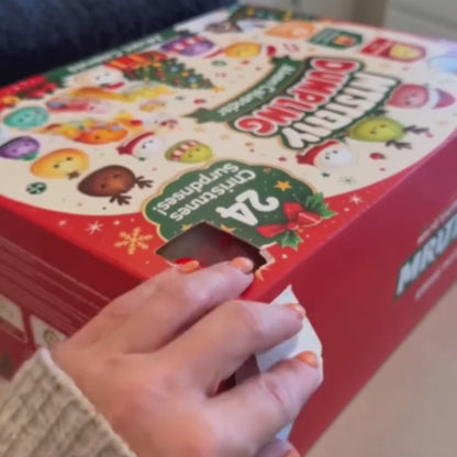 24 Surprises Dumpling Squishy Advent Calendar 2026