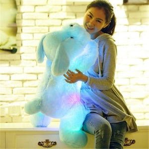 Cute Luminous Puppy