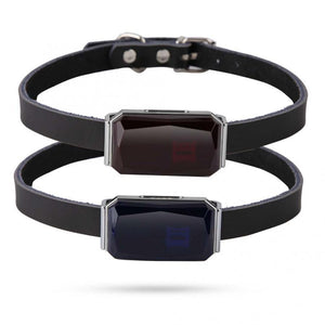 Gps Location Waterproof Dog Tracker Collar