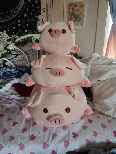 Fashionable Plump Pig Plush Toy - Soft and Cuddly Companion photo review