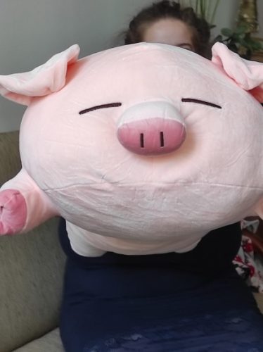 Fashionable Plump Pig Plush Toy - Soft and Cuddly Companion photo review