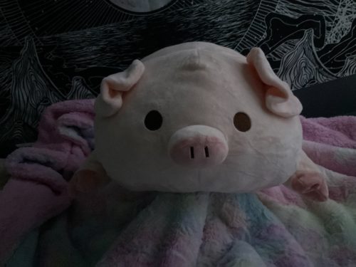 Fashionable Plump Pig Plush Toy - Soft and Cuddly Companion photo review