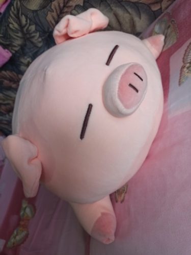 Fashionable Plump Pig Plush Toy - Soft and Cuddly Companion photo review