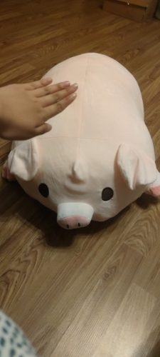 Fashionable Plump Pig Plush Toy - Soft and Cuddly Companion photo review