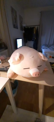 Fashionable Plump Pig Plush Toy - Soft and Cuddly Companion photo review