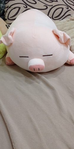 Fashionable Plump Pig Plush Toy - Soft and Cuddly Companion photo review