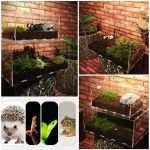 Premium Pvc Transparent Reptile Enclosure Terrarium Tank